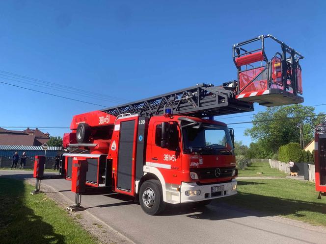 Przez kota wieś nie miała prądu