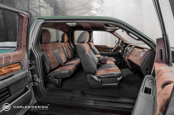 Ford F-150 Carlex Design