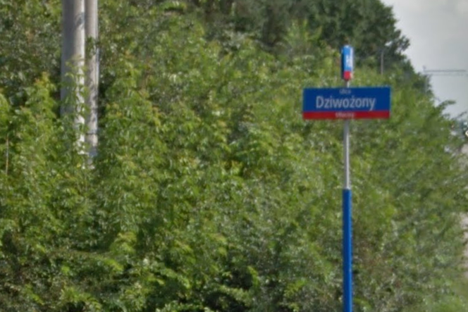 Dziwożony (Bielany)