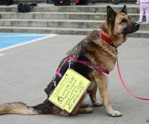 Protest przeciwko programowi Mieszkanie na Start w Warszawie