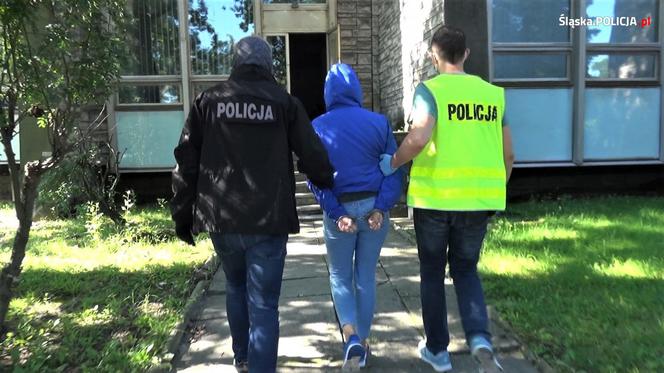 Śląskie: Kolejne zatrzymania w sprawie wielomilionowej karuzeli podatkowej