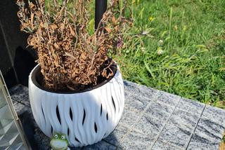 Przędzel: Grób Marzeny i Mariusza rok po tragedii w Jamnicy