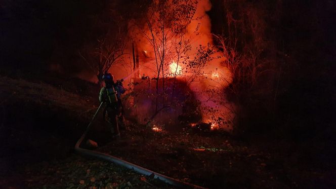 Lublin. Tragiczny pożar pustostanu. Trzy osoby nie żyją [ZDJĘCIA].