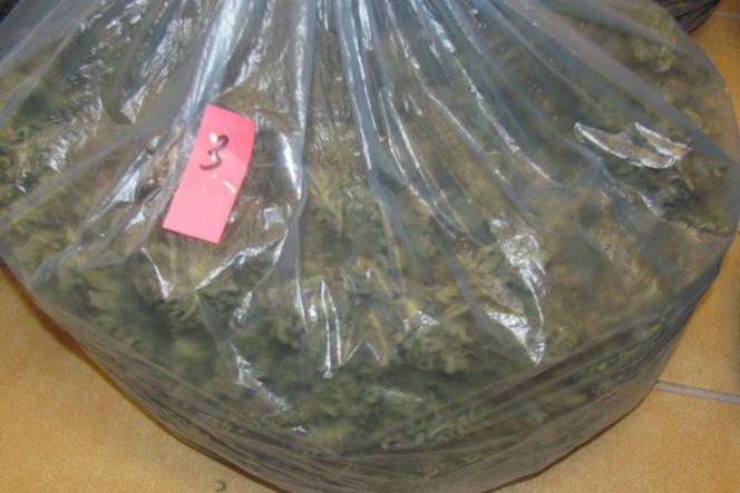 3 kg marihuany w rękach podkarpackiej policji [ZDJĘCIA]