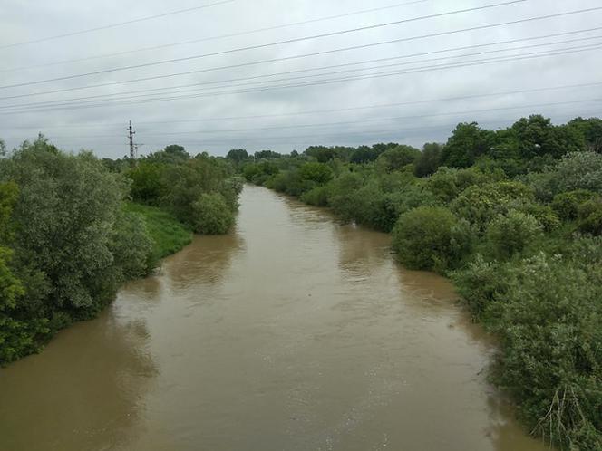 Wysoki Dunajec pod Tarnowem! Biała przy Azotach też przybiera