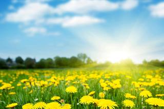 Czego nie robić podczas upałów?