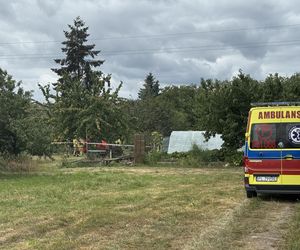 Wypadek awionetki w Krzycku Wielkim