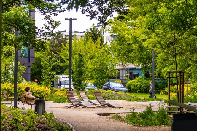 Park linearny przy ul. Suwak w Warszawie