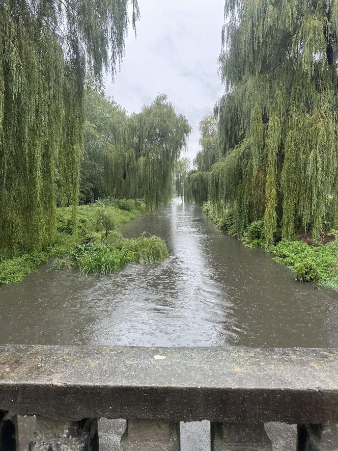 Brynica woj. śląskie - Sosnowiec, Stawiki