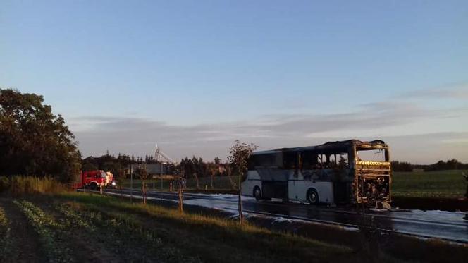 Pożar autobusu niedaleko Koronowa! Ewakuowano aż 35 osób! [ZDJĘCIA]