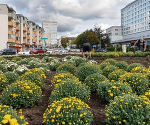 Władze miasta zaserwowały mieszkańcom Białegostoku kolejną podwyżkę. Co będzie droższe?