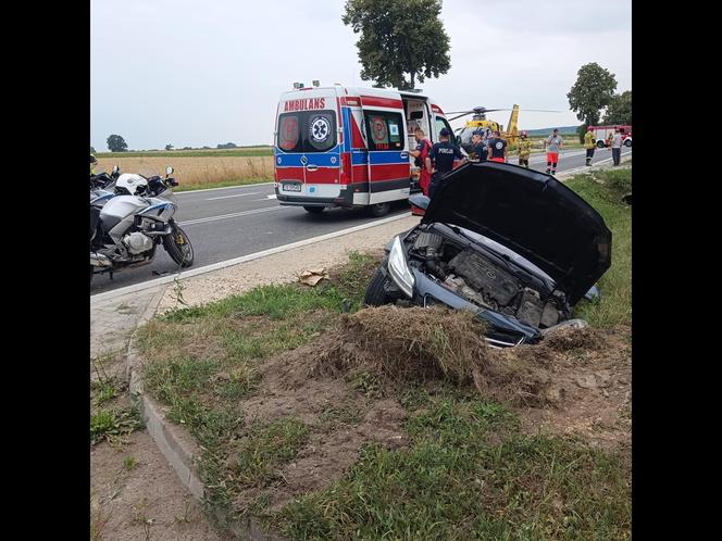 Śmiertelny wypadek pod Buskiem-Zdrojem. 37-latek nie żyje. Jego żonie i córeczce nic się nie stało [ZDJĘCIA]