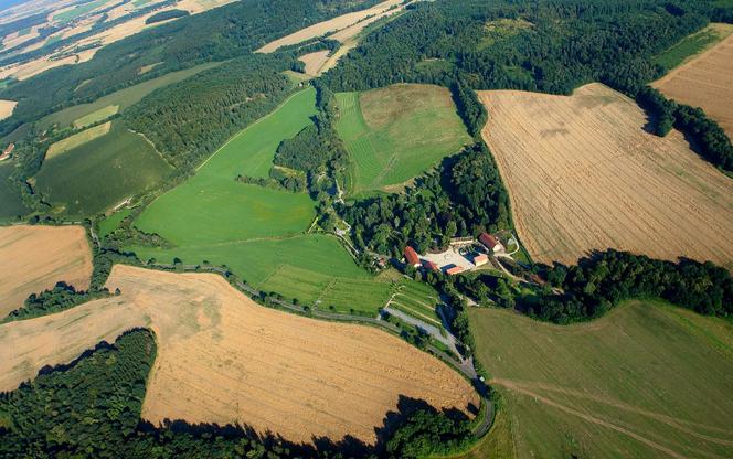 Arboretum Wojsławice prezentuje pełną paletę barw