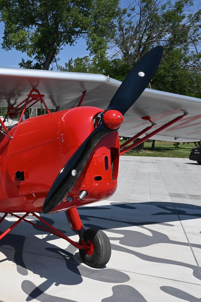 Samolot RWD-8