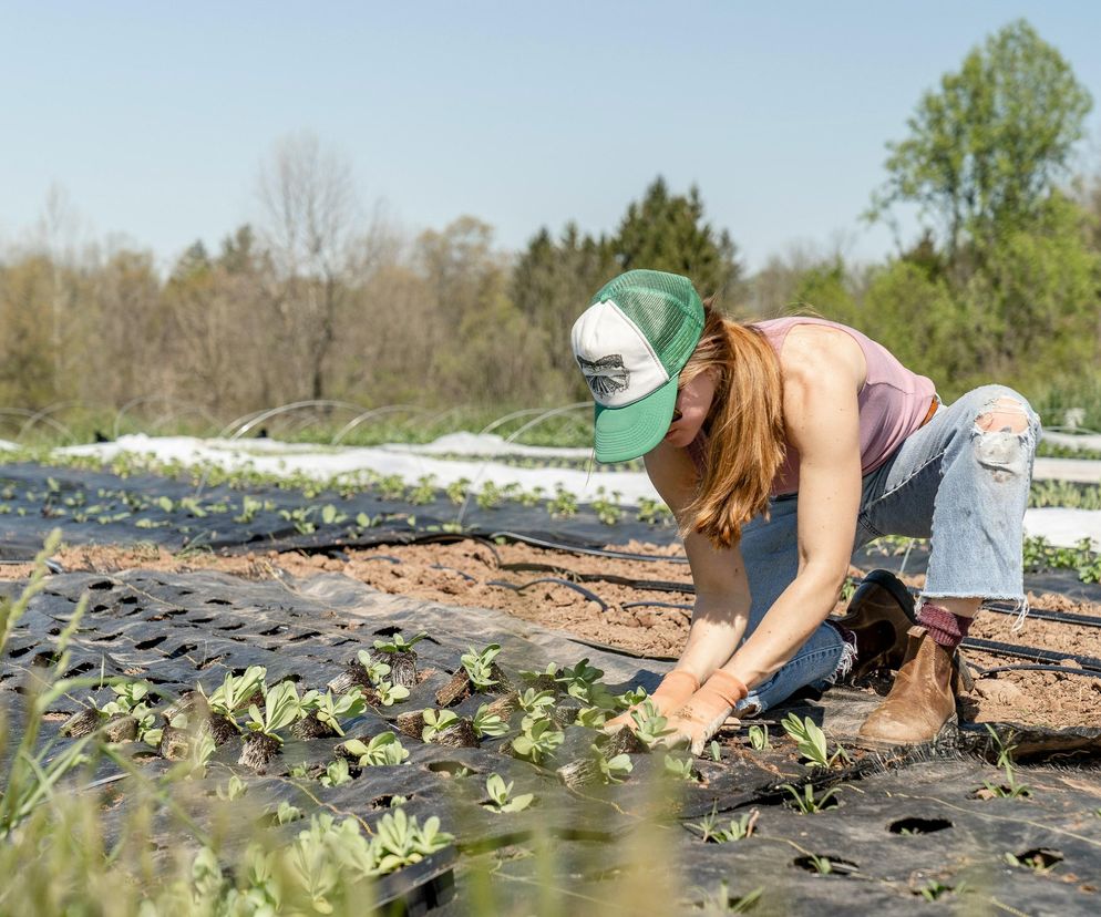 Tak się mówi na wsi! Nie zrozumiesz tych słów, jeśli jesteś z miasta. Rozwiąż quiz i przekonaj się