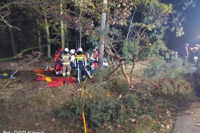 ŚMIERĆ dwóch 18-latków! Nocny dramat na drodze pod Poznaniem