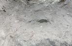 Sensacyjne odkrycie w Borach Tucholskich. Takie wykopalisko jest rzadkością, a znaleziono aż 29 skarbów