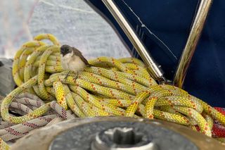 Znamy plany darłowskich żeglarzy na ten sezon