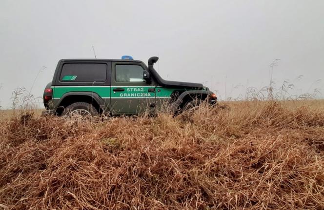 Jeepy Wrangler Sahara dla Straży Granicznej. Te samochody nie boją się bezdroży