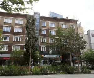 Martwe drzewa na Chmielnej w Warszawie. Miasto potwierdza. „Termin wymiany to jesień”