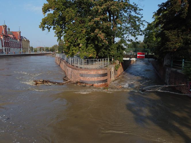 Sytuacja na Odrze we Wrocławiu