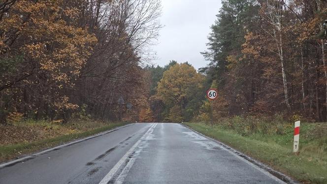 Wypadek w pobliżu Konotopu - wojskowa ciężarówka w rowie 