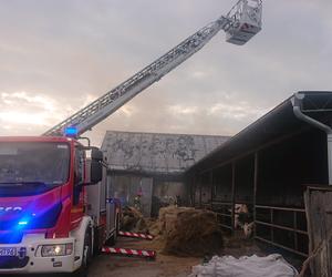 Pożar budynków gospodarczych w Wolkowie