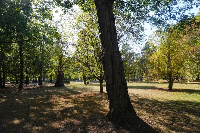 Park Konstytucji 3 Maja