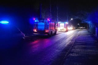 Dąb zabił emeryta. Potężne drzewo runęło na 82-latka