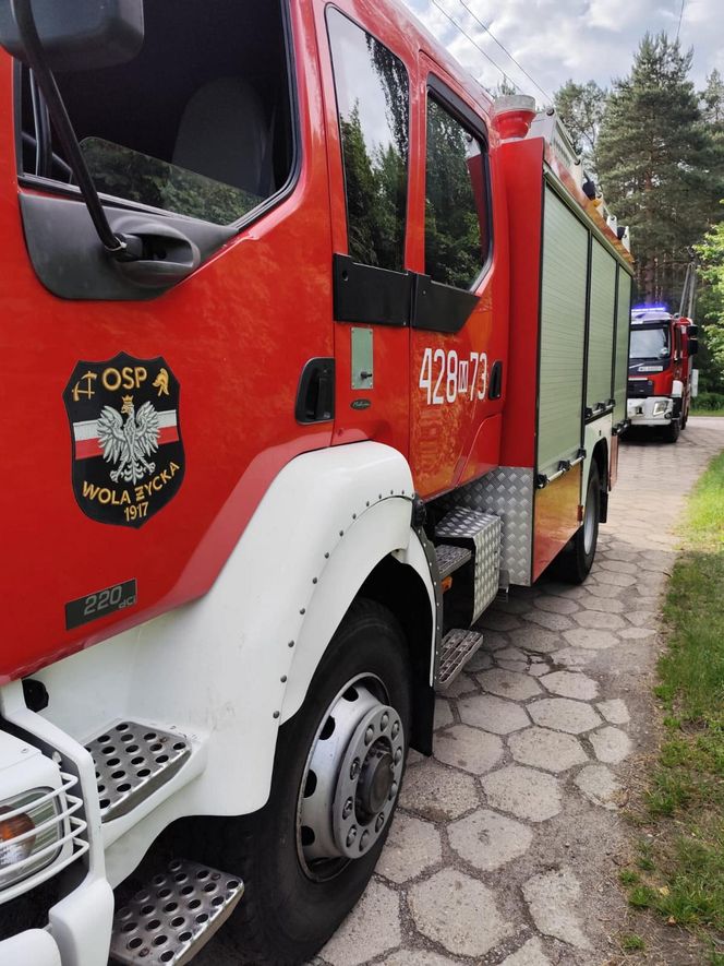 Staruszka wjechała samochodem do stawu! Dramatyczna akcja strażaków