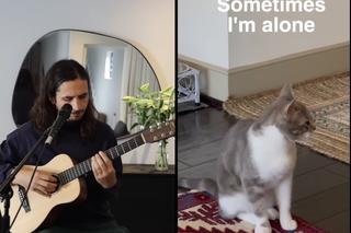 Lonely Cat