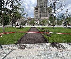 Absurd roku w Warszawie. Zrywają zieleń na nowym pl. Centralnym. Zamiast niej będzie beton