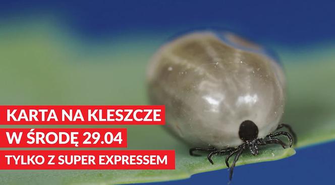 Kleszcze
