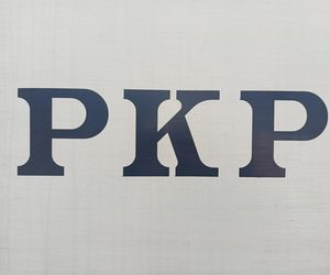 Rogowska kolej wąskotorowa. To perełka wśród zabytków techniki w Łódzkiem
