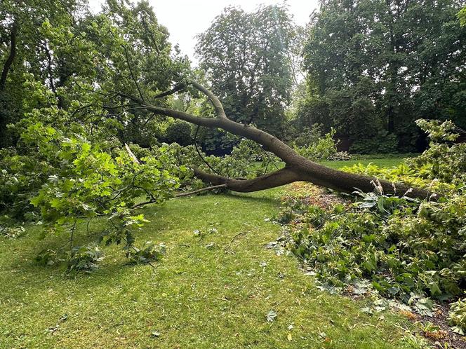 Łazienki Królewskie jednak zamknięte do odwołania