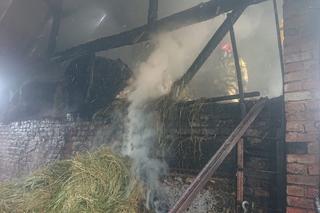 Pożar budynków gospodarczych w Wolkowie