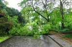Potężne burze nad Polską. Drzewa spadały na samochody, setki interwencji straży pożarnej 