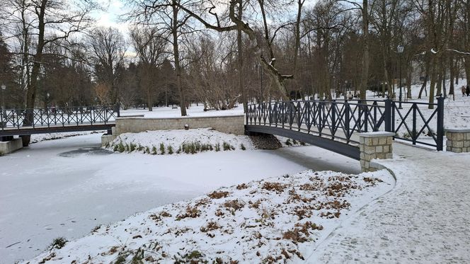 Nałęczów - Park Zdrojowy zimą