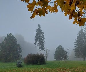 Zamojski Park jesienią