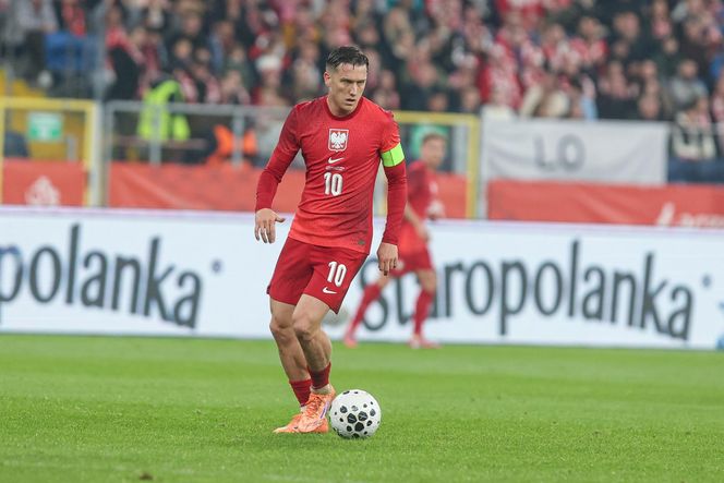 Szał na trybunach podczas meczu Polska - Nowa Zelandia