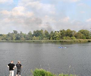 Słup dymu pod Szczecinem. W akcji samoloty gaśnicze