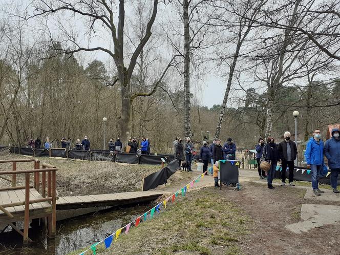 Drzewka i rekreacja na Barbarce