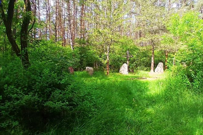 Leśny cmentarz rodu von Ramin