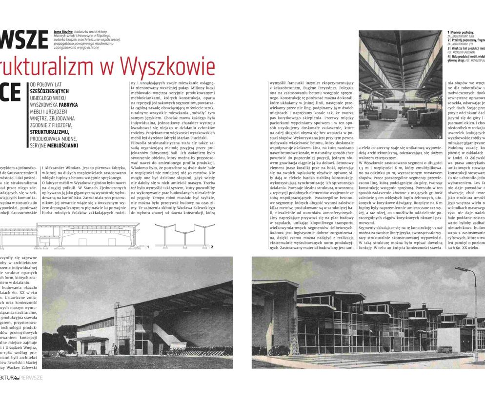 Pierwsze w Polsce: strukturalizm w Wyszkowie