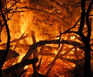 Wielki pożar lasów w północno-wschodniej Hiszpanii objął ponad 3 tys. ha. Na miasto Castellon spadł popiół
