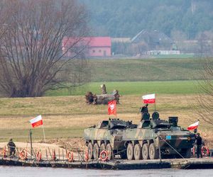 Wielki sojusz wojskowy Polski i Stanów Zjednoczonych