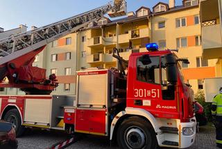 Mały kotek był uwięziony w rynnie na dachu! Na miejsce wezwano strażaków [ZDJĘCIA]