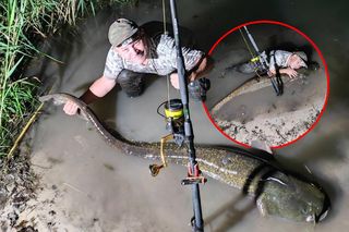 Ale ryba! Tego połowu Panu Jankowi pozazdrości każdy wędkarz! Sum wyższy niż niejeden mężczyzna