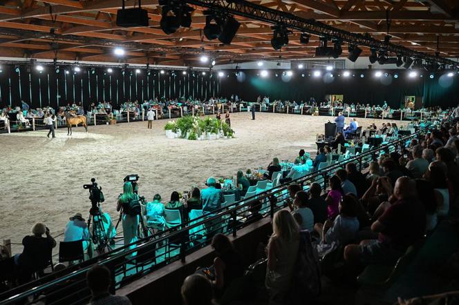 Porażka Pride of Poland 2024? Zyski są zdecydowanie niższe niż rok temu