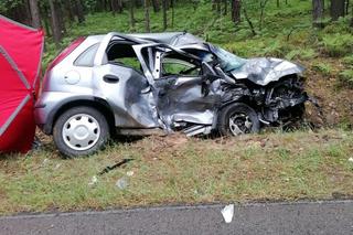 Tragiczny wypadek w pow. biłgorajskim. Starsza kobieta zginęła na miejscu 